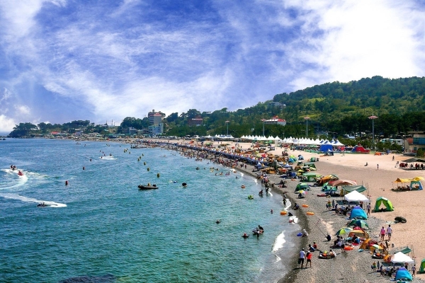 경주 오류 고아라 해변 전경