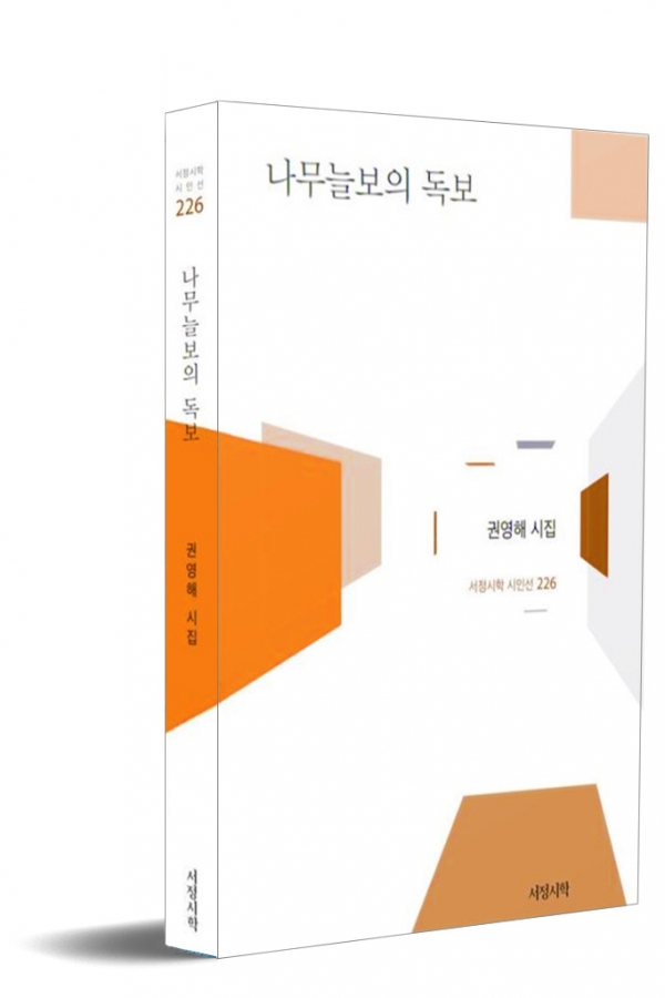 『나무늘보의 독보』