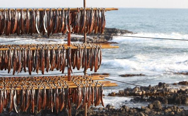 사진제공 : 구룡포사랑모임(사무총장 조이태)