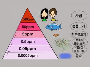 후쿠시마 오염수,  '느린 폭력'을 막아달라 "농도 아닌 농축이 문제"