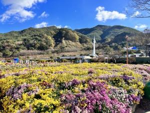 거창사건추모공원, 전국 유일 '추모 국화관람회' 개최