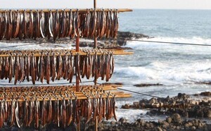 APEC 정상회의계기 구룡포, ‘5대 노포’로  외국 손님 맞는다